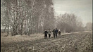 Смотрите документальный фильм «Целина. Накормить страну»
