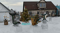 Житель села Романово украсил необычными фигурами свой участок 