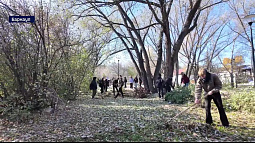 В Барнауле собрали больше 250 машин мусора