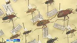 Профессор АлтГУ Роман Яковлев отправится в Северную Африку и на Ближний Восток для изучения бабочек