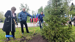 В Барнауле высадили «Сад памяти»