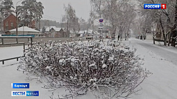 Зима не спешит приходить на Алтай