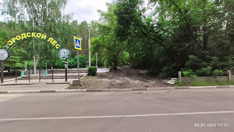 Житель Бийска забил тревогу из-за рубки деревьев возле планетария