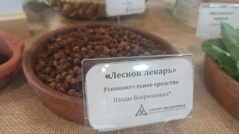 У Денисовой пещеры установят огромные деревянные качели, двухметровую иглу и бивень мамонта