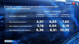 На Алтае утвердили новые тарифы на электроэнергию