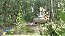 В Барнауле началось голосование за общественные территории, которые благоустроят в 2027 году