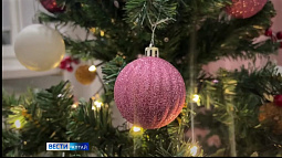 20 января в Барнауле будут принимать новогодние ёлки на переработку