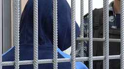 Обвинение запросило для политеховского маньяка 25 лет лишения свободы