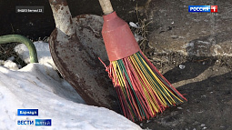 В Алтайском крае не хватает дворников