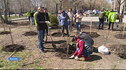 В Барнауле появится первая аллея отцов