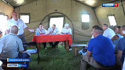 В Смоленском районе ветеринары ликвидировали условную вспышку птичьего гриппа