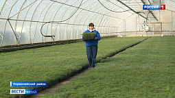 Алтайский край получит почти 150 млн рублей по нацпроекту «Экологическое благополучие»