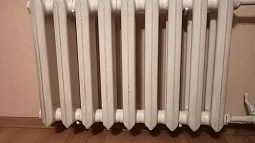 Зелёный «Уранин» и неприятный «Скунс» поселились в батареях жителей Камня-на-Оби