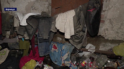 В бывшем барнаульском общежитии люди вынуждены не жить, а выживать