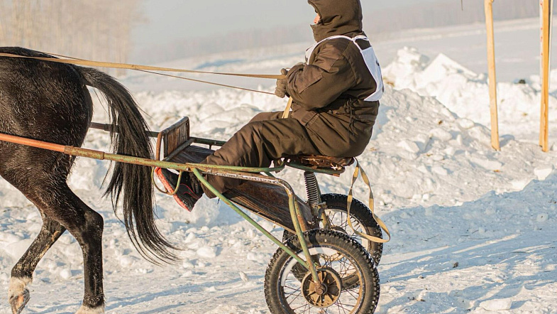 В Налобихе пройдут конные бега беспородных лошадей