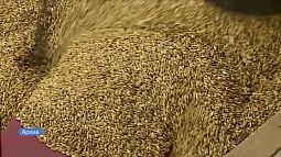 Алтайские сельхозтоваропроизводители расширяют географию поставок