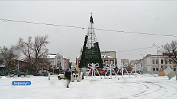 Главная барнаульская ёлка начала «обрастать» хвоей