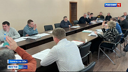 Депутаты Камня-на-Оби планируют пересмотреть решение о введении турналога в городе