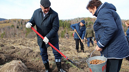 Более миллиона деревьев высадили в крае в рамках Всероссийской экологической акции «Сохраним лес»