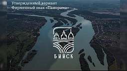 Официальный брендбук появился у Бийска