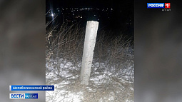 В Шелаболихе, катаясь на ватрушке, погибла 11-летняя девочка