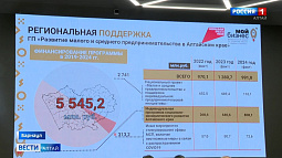 Каждый третий экономически активный житель Алтайского края занят в сфере малого или среднего предпринимательства