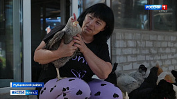 Парикмахер из Рубцовского района разводит кур, которые несут голубые, зелёные и розовые яйца 