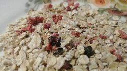 Уникальные сыры и каши с кокосом представят алтайские предприятия на международной продовольственной выставке