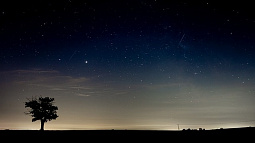 Жители Алтайского края смогут увидеть весенний звездопад Лириды