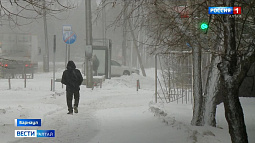 Сегодня Барнаул встал в пробках из-за сильного снегопада