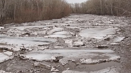В алтайских реках растут уровни воды