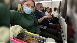 Сразу несколько авиакомпаний разрешили перевозить животных на соседнем кресле во время перелёта