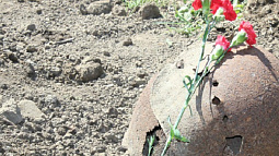 Останки солдата с Алтая обнаружили в Московской области