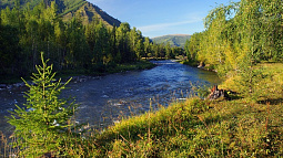 Алтайскому природному заповеднику исполнилось 90 лет
