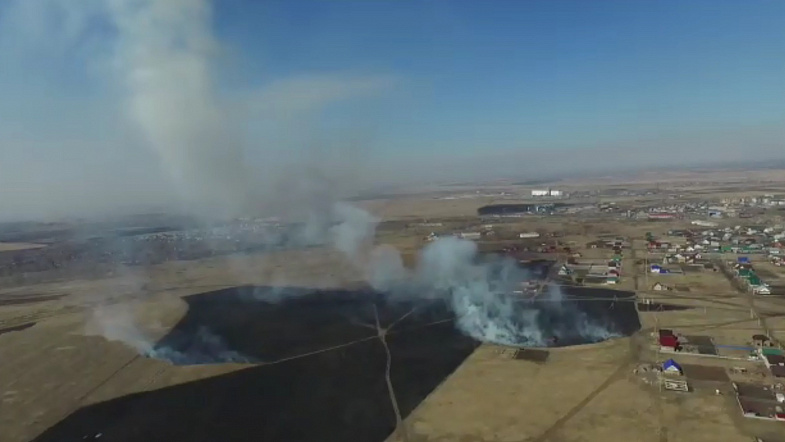 В Камне-на-Оби горят поля