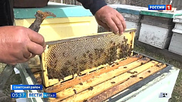 В родовой усадьбе Сергея Собянина в Советском районе ждут хороший урожай мёда 