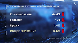 В Алтайском крае за год почти на 15% снизилось количество зарегистрированных преступлений