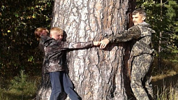 Сосна-рекордсмен: в Быстроистокском районе нашли огромное дерево