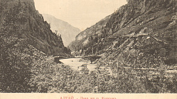 Какие открытки хранятся в Алтайском краеведческом музее? 