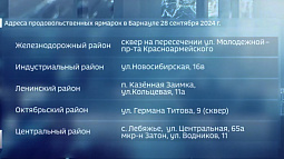 В 10 часов в Барнауле снова откроются социальные ярмарки