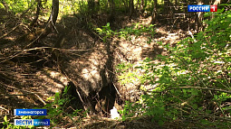 В Змеиногорске на месте бывшей шахты провалился грунт