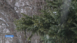 С сегодняшнего дня на Алтае действует штормовое предупреждение