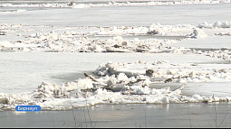 Обь у Барнаула может вскрыться уже к концу недели