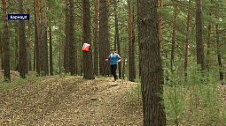 Алтайские мастера по спортивному ориентированию готовятся к летнему сезону