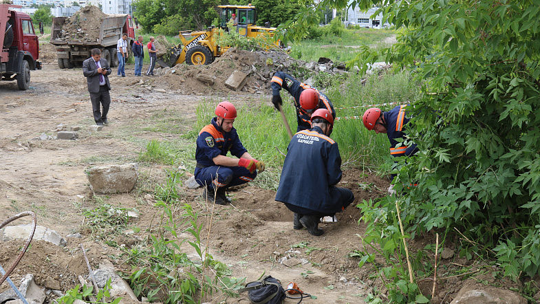 В Барнауле сотрудники МЧС спасли из бетонной западни четверых щенков