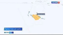 Алтайский край обновил антирекорд по бешенству животных