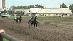 От Казани до Барнаула участники конного пробега Татарстан – Алтай добрались за 28 дней